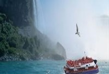 Night Cruise Including Audio Guide